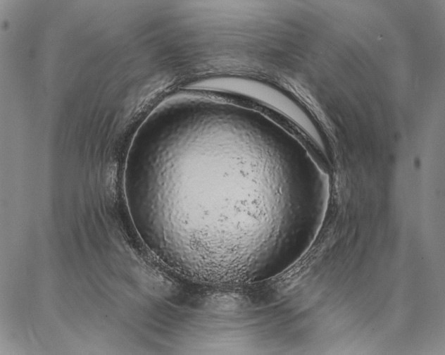 X0000087380066200704271607