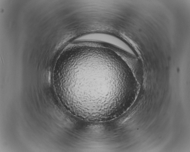 X0000087380067200704271607