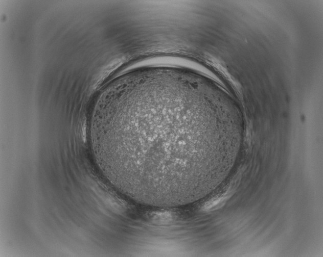 X0000087380068200704271607