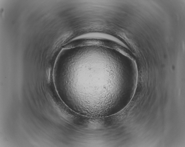 X0000087380070200704271608