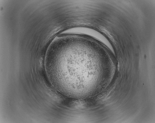 X0000087380071200704271608