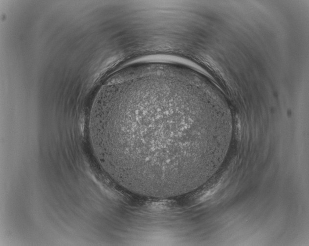 X0000087380072200704271608