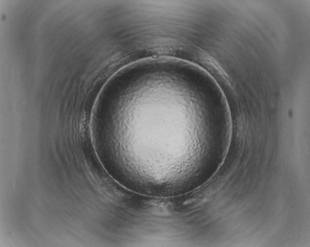 X0000087380073200704271608