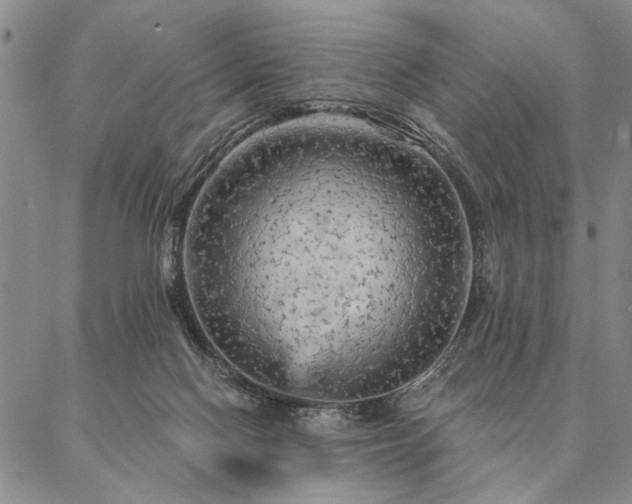 X0000087380074200704271608