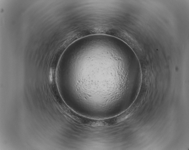 X0000087380075200704271608