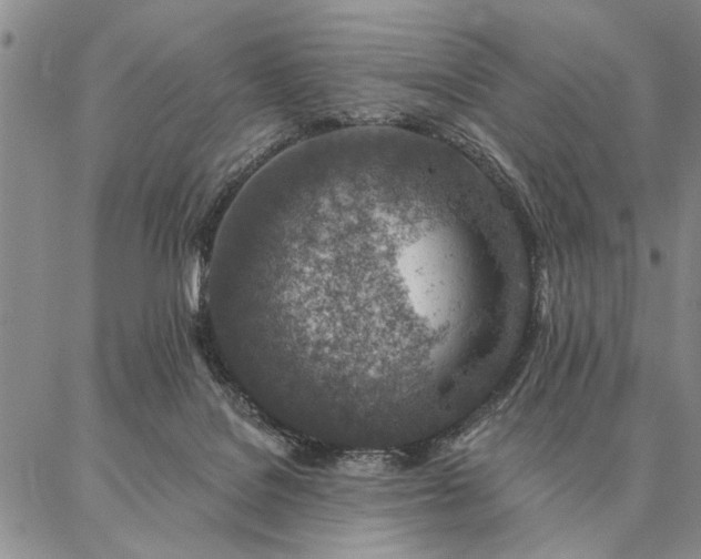 X0000087380076200704271608