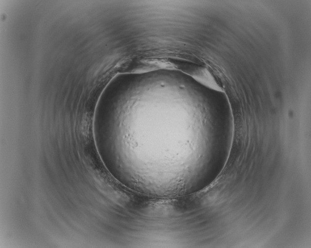 X0000087380078200704271608