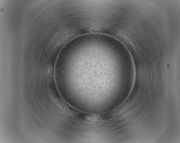 X0000087380079200704271608