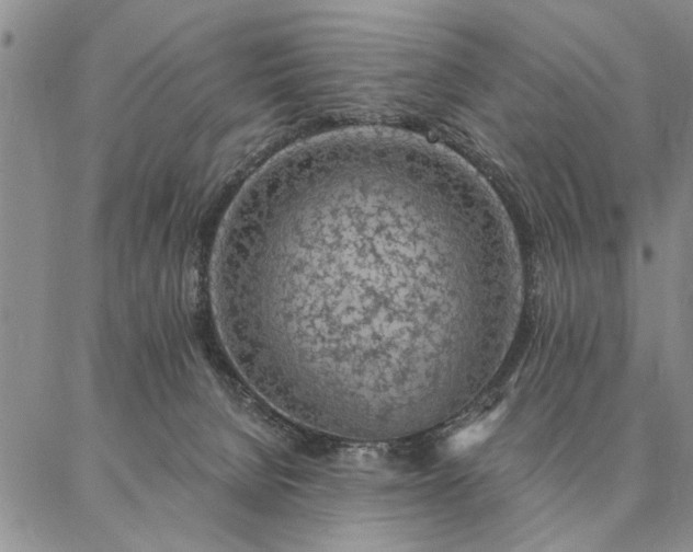 X0000087380080200704271608