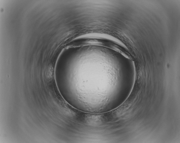 X0000087380081200704271608