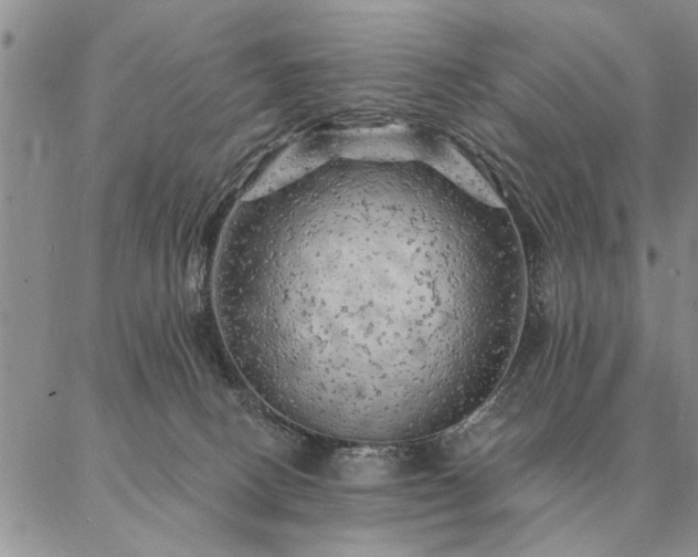 X0000087380082200704271608