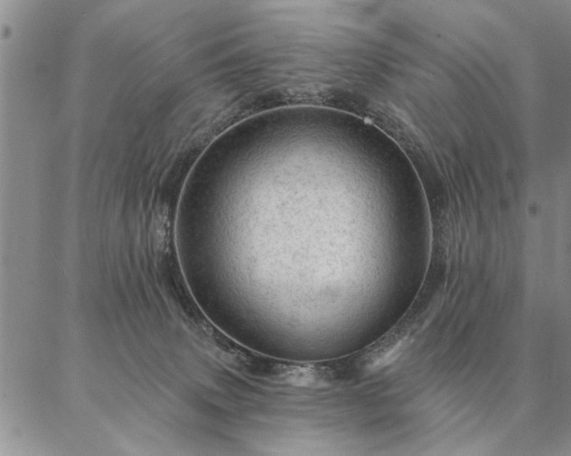 X0000087380083200704271608