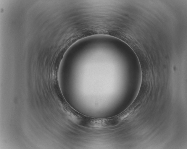 X0000087380084200704271608