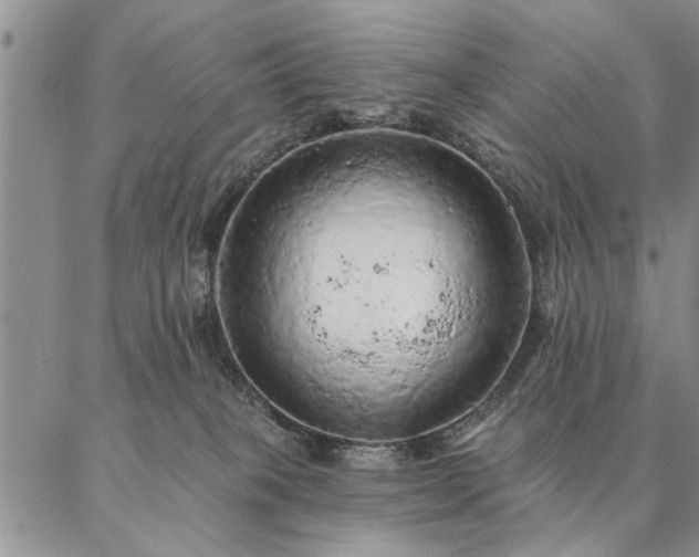 X0000087380085200704271608