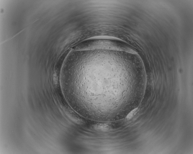 X0000087380086200704271608