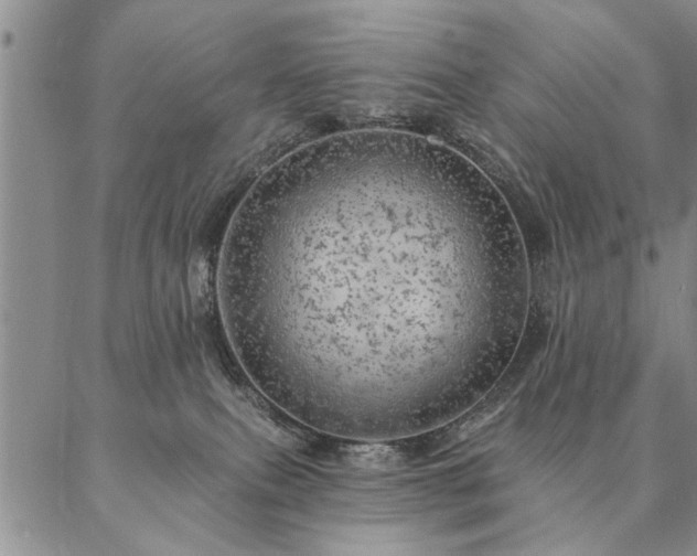 X0000087380087200704271608