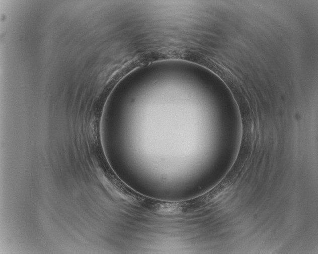 X0000087380088200704271608