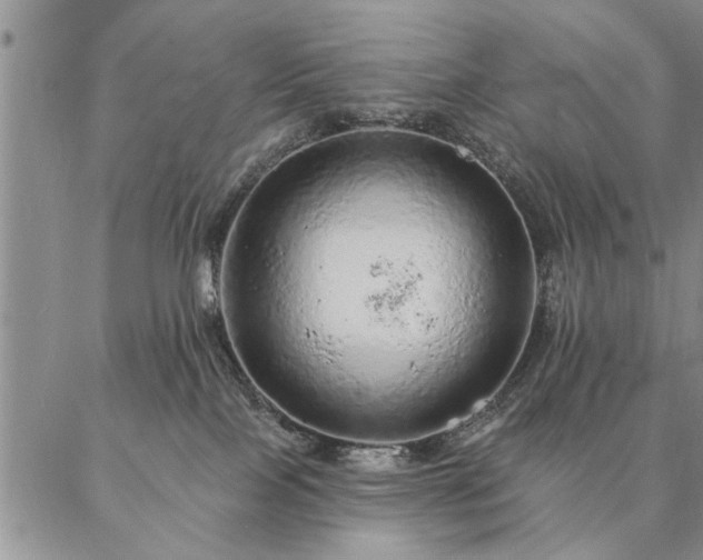 X0000087380089200704271608