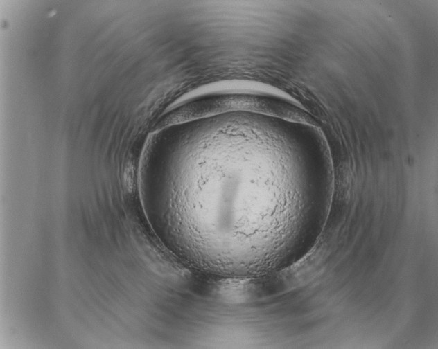 X0000087380090200704271608