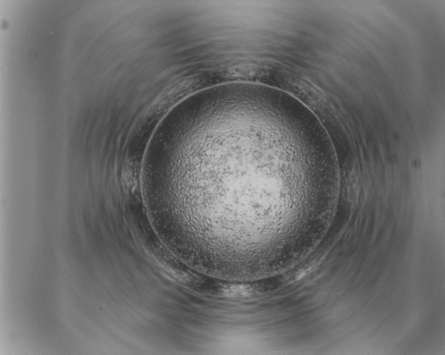 X0000087380091200704271608