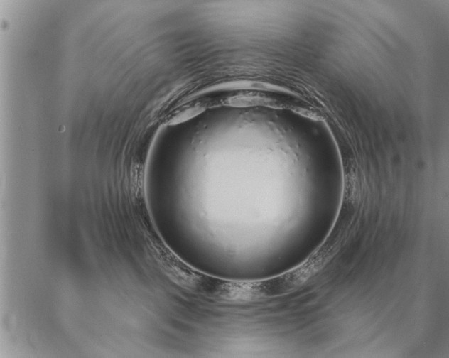 X0000087380093200704271608