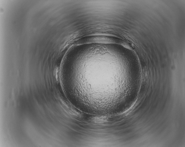 X0000087380094200704271608