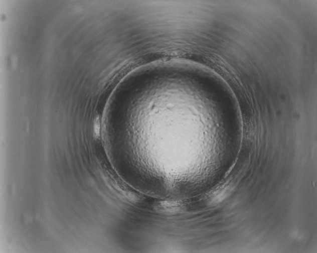 X0000087380095200704271608