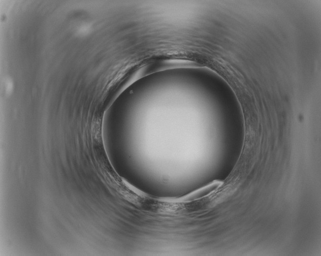 X0000087380096200704271608