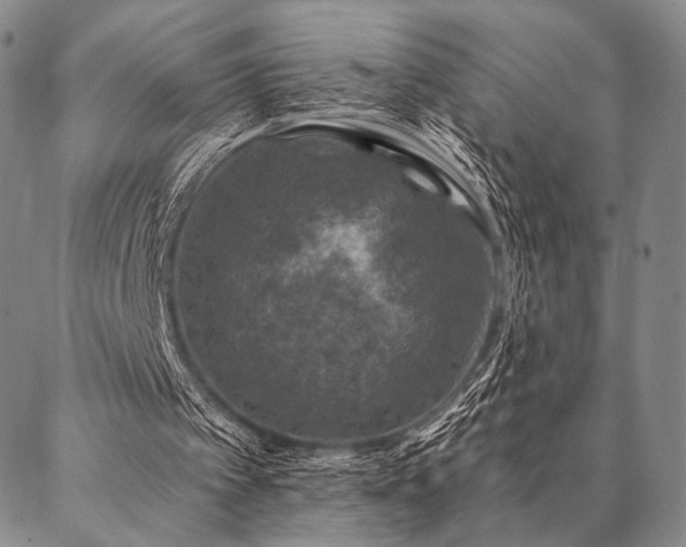 X0000087380097200704271607