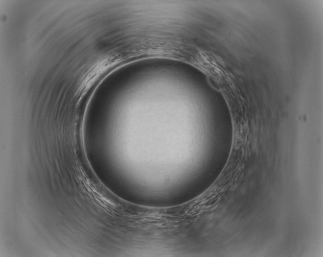 X0000087380098200704271607