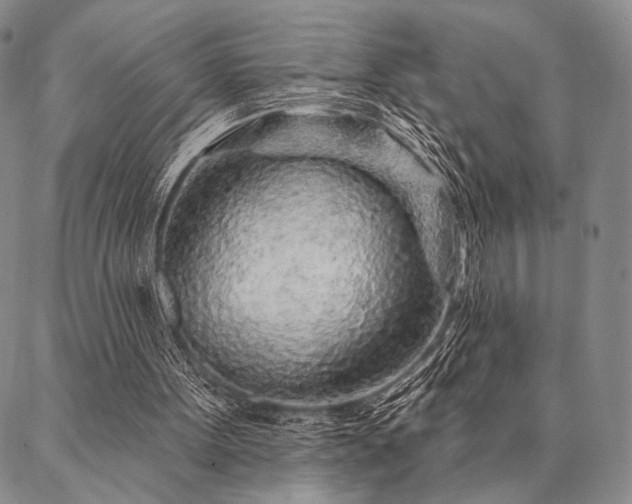 X0000087380099200704271607