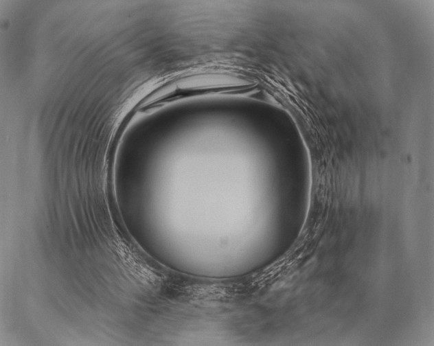 X0000087380100200704271607