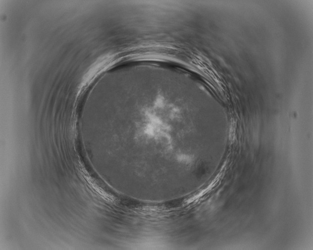 X0000087380101200704271607