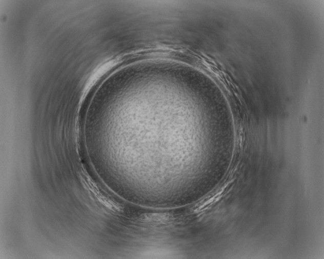 X0000087380102200704271607