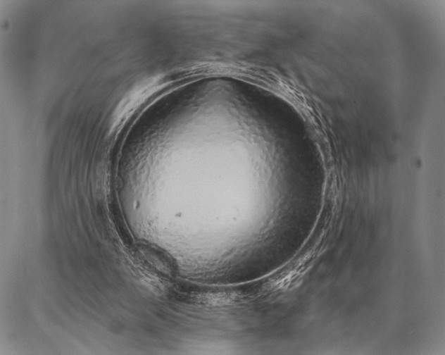 X0000087380103200704271607