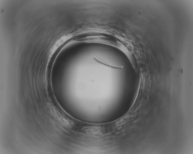 X0000087380104200704271607