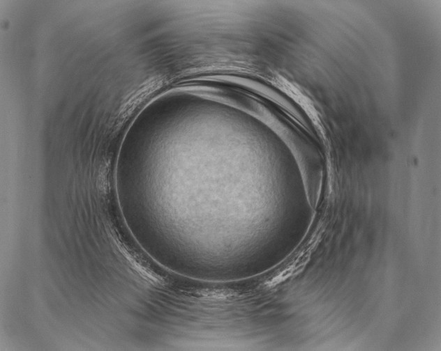 X0000087380105200704271607