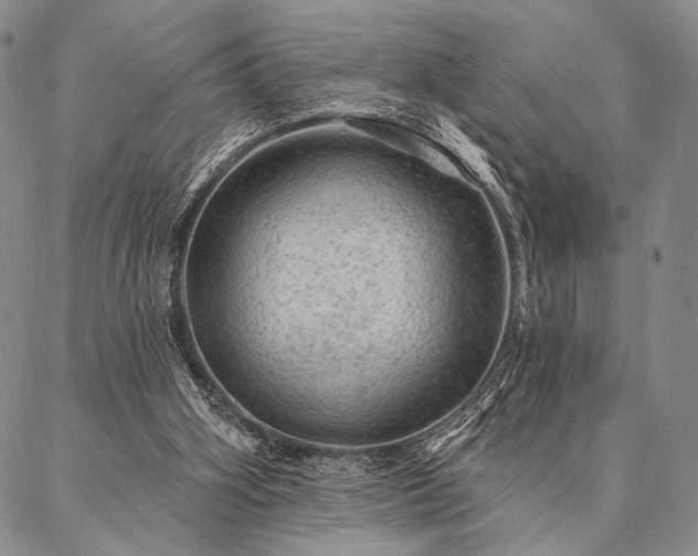 X0000087380106200704271607