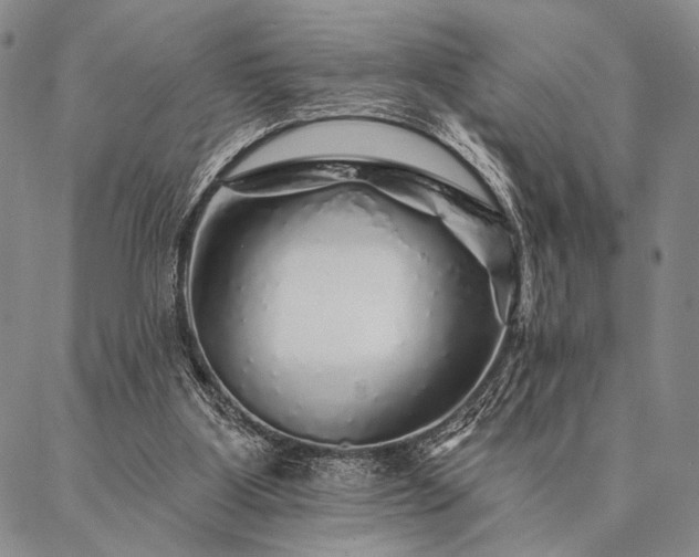 X0000087380107200704271607