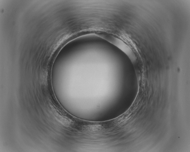 X0000087380108200704271607