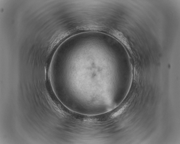 X0000087380109200704271607