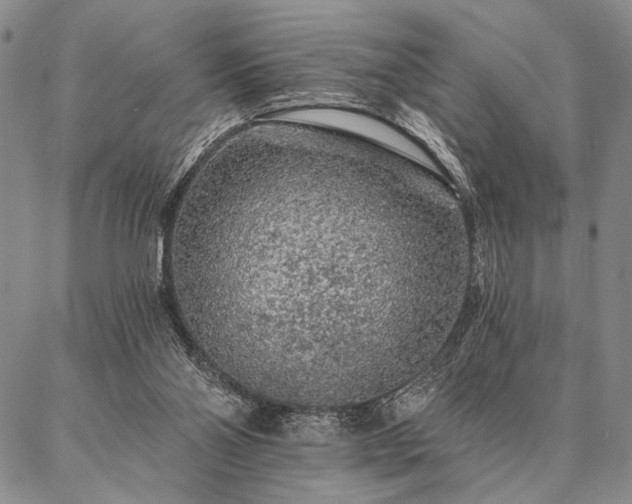 X0000087380110200704271607