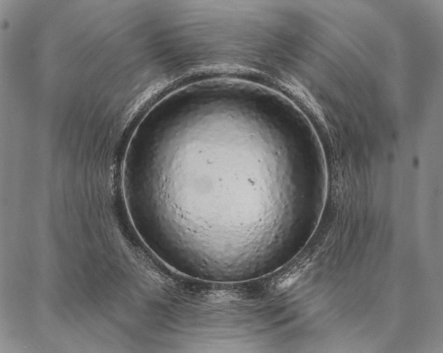 X0000087380111200704271607