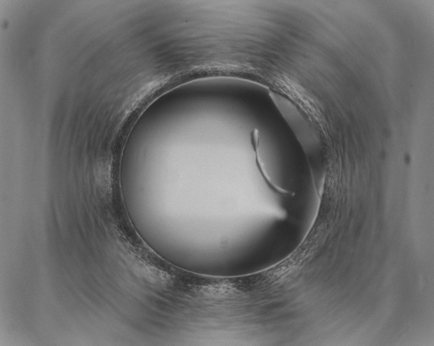 X0000087380112200704271607