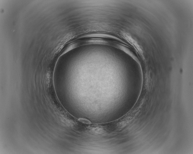 X0000087380113200704271607