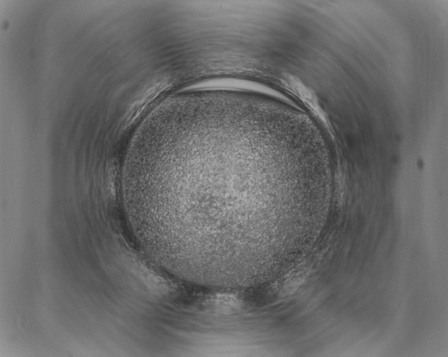 X0000087380114200704271607