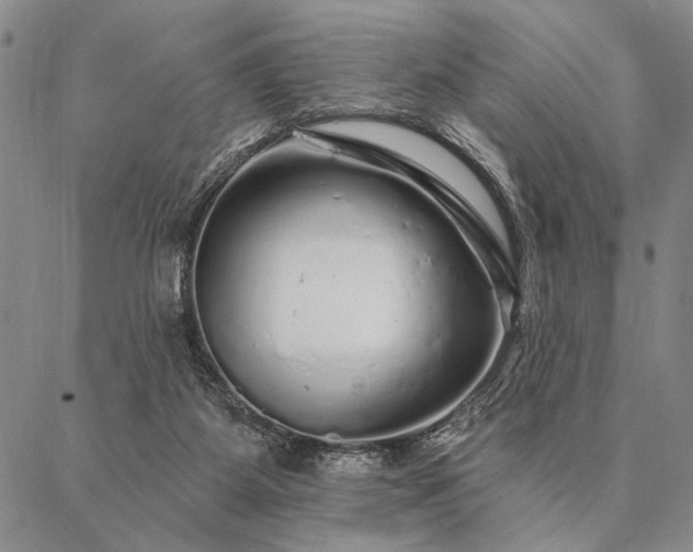 X0000087380115200704271607