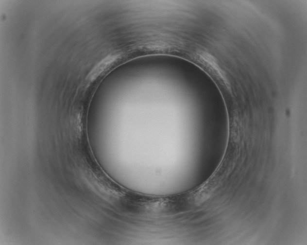 X0000087380116200704271607