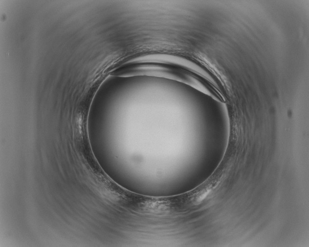 X0000087380117200704271607