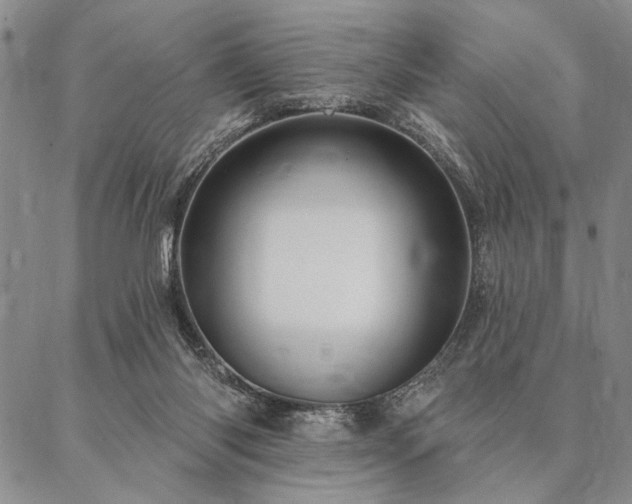 X0000087380118200704271607